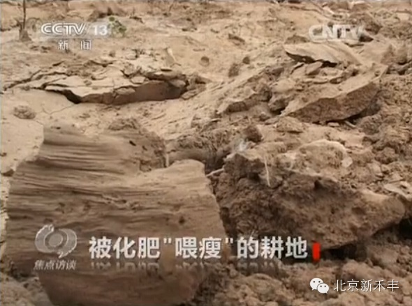 云顶4008集团手机登录