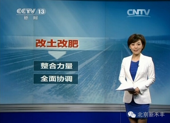 云顶4008集团手机登录