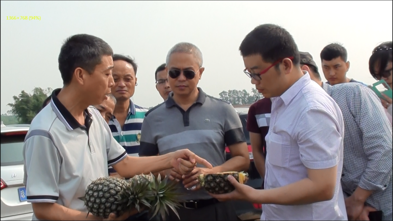 云顶4008集团手机登录