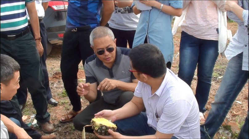 云顶4008集团手机登录