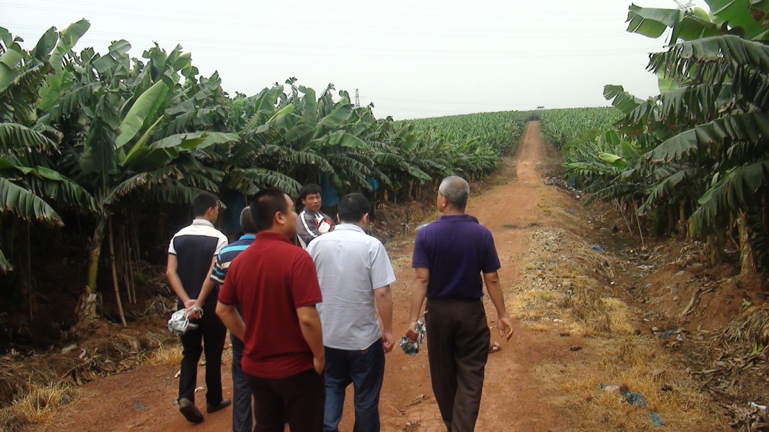 云顶4008集团手机登录