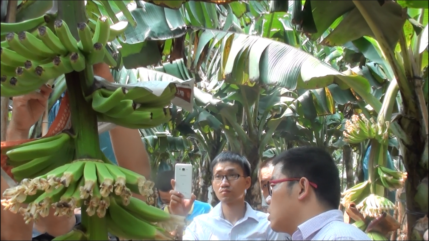 云顶4008集团手机登录