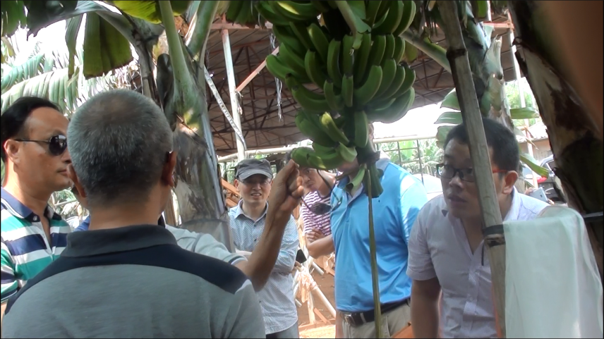 云顶4008集团手机登录