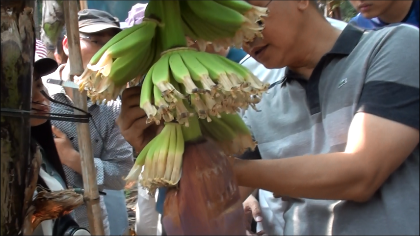 云顶4008集团手机登录