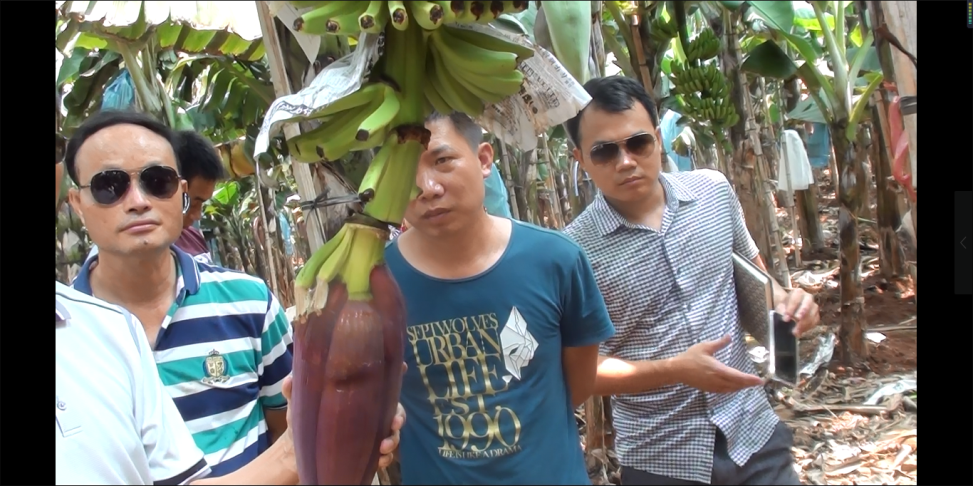 云顶4008集团手机登录