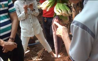 云顶4008集团手机登录