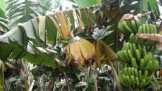 云顶4008集团手机登录