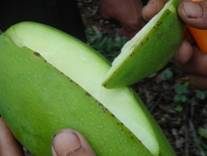 云顶4008集团手机登录