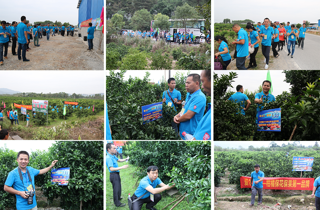 云顶4008集团手机登录