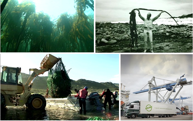 云顶4008集团手机登录