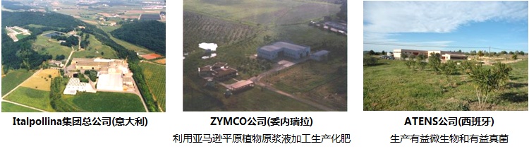 云顶4008集团手机登录