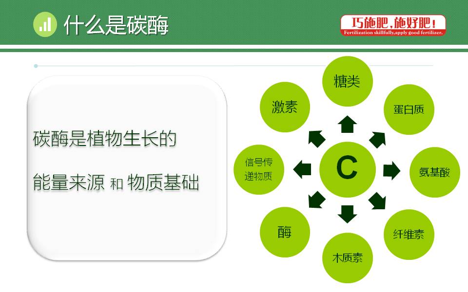 云顶4008集团手机登录