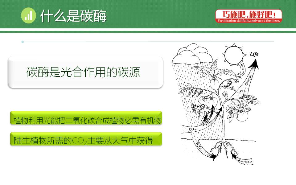 云顶4008集团手机登录