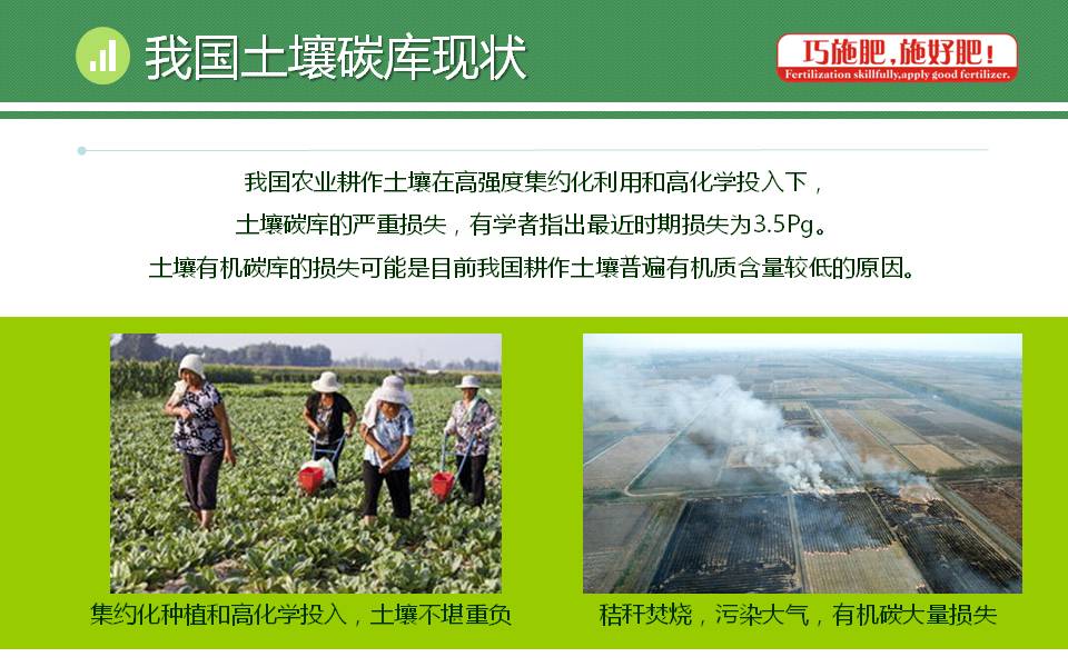 云顶4008集团手机登录