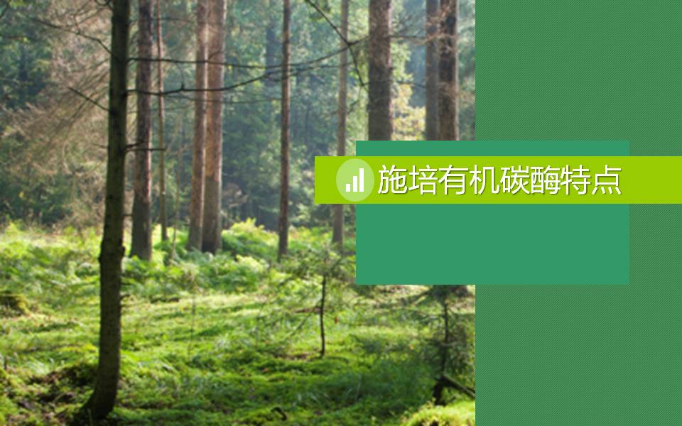 云顶4008集团手机登录