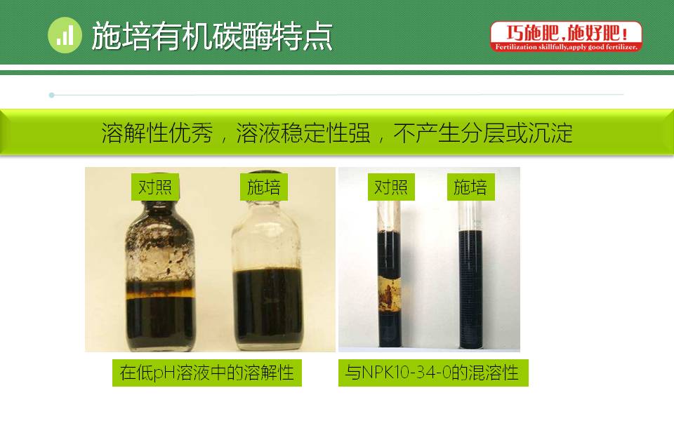 云顶4008集团手机登录