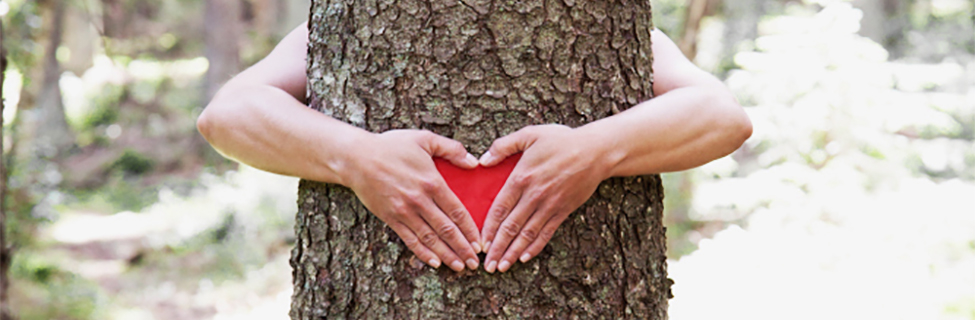 云顶4008集团手机登录