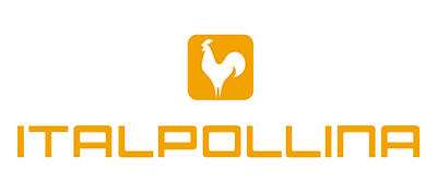 云顶4008集团手机登录