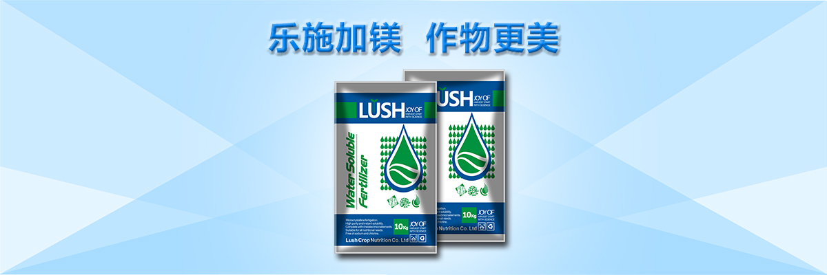 云顶4008集团手机登录