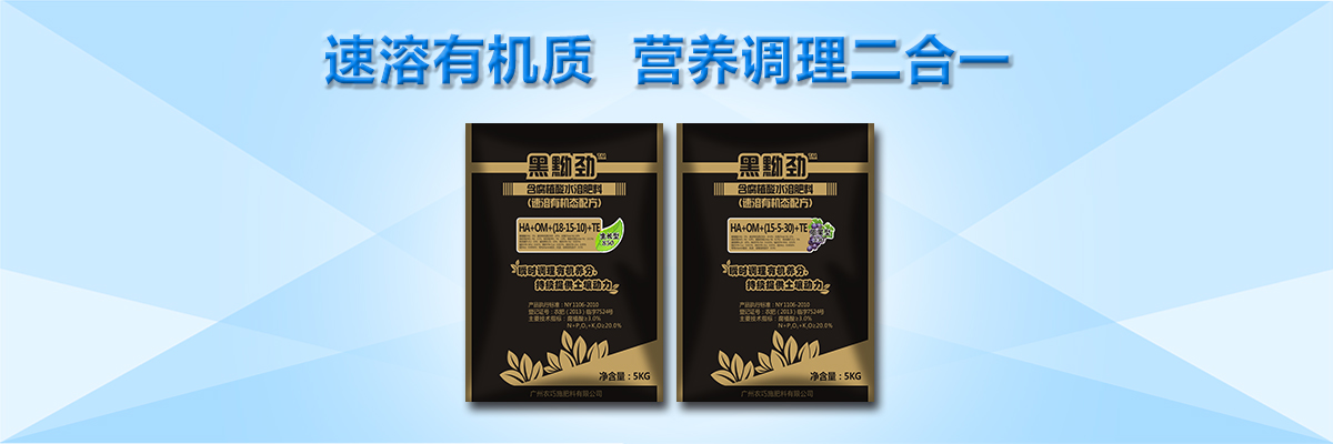 云顶4008集团手机登录