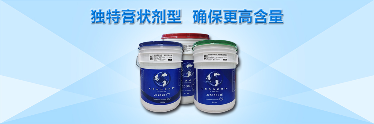 云顶4008集团手机登录