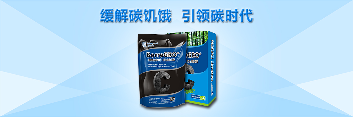 云顶4008集团手机登录