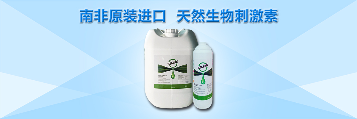 云顶4008集团手机登录