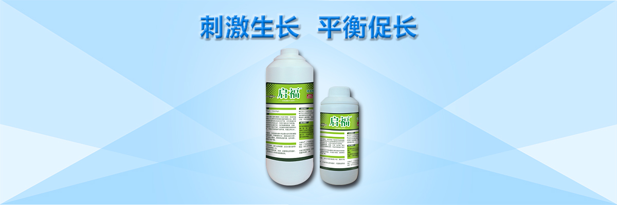 云顶4008集团手机登录