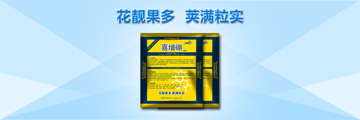 云顶4008集团手机登录