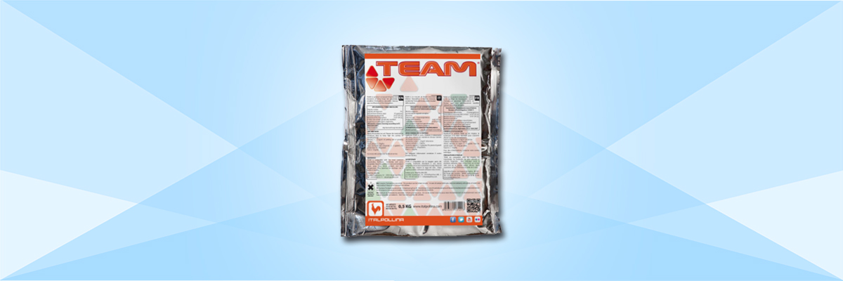 云顶4008集团手机登录