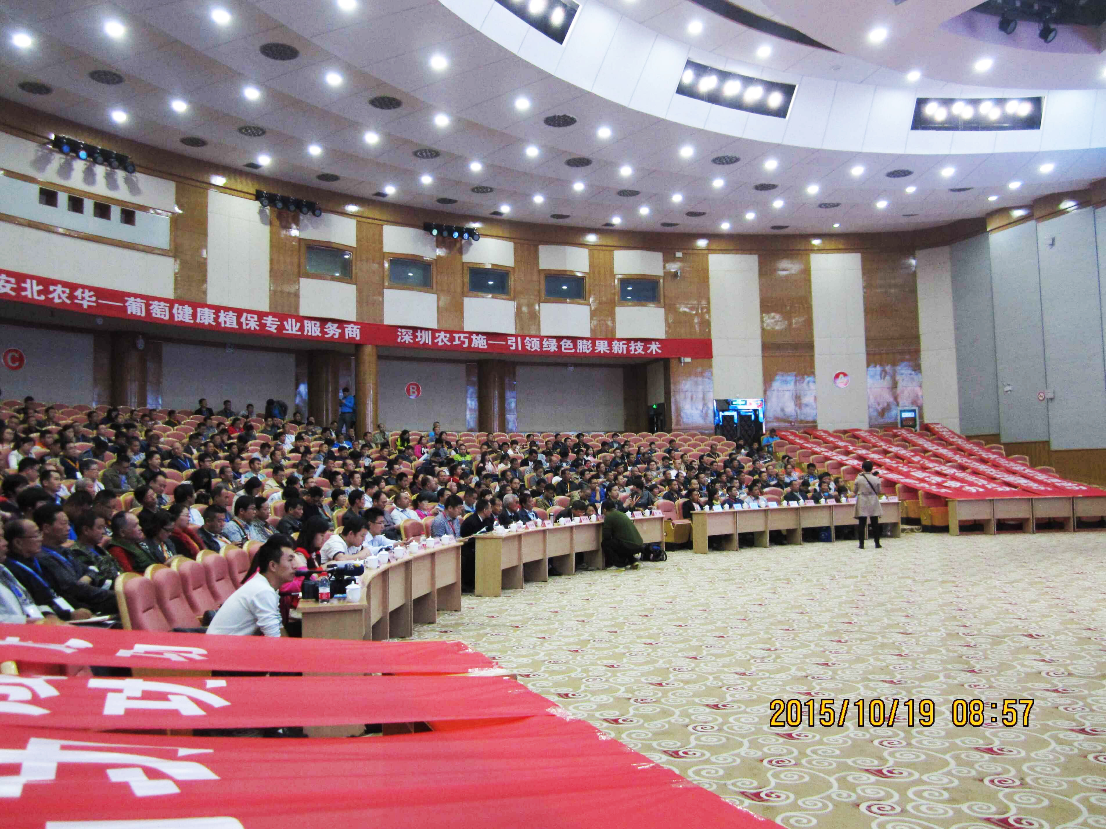 云顶4008集团手机登录