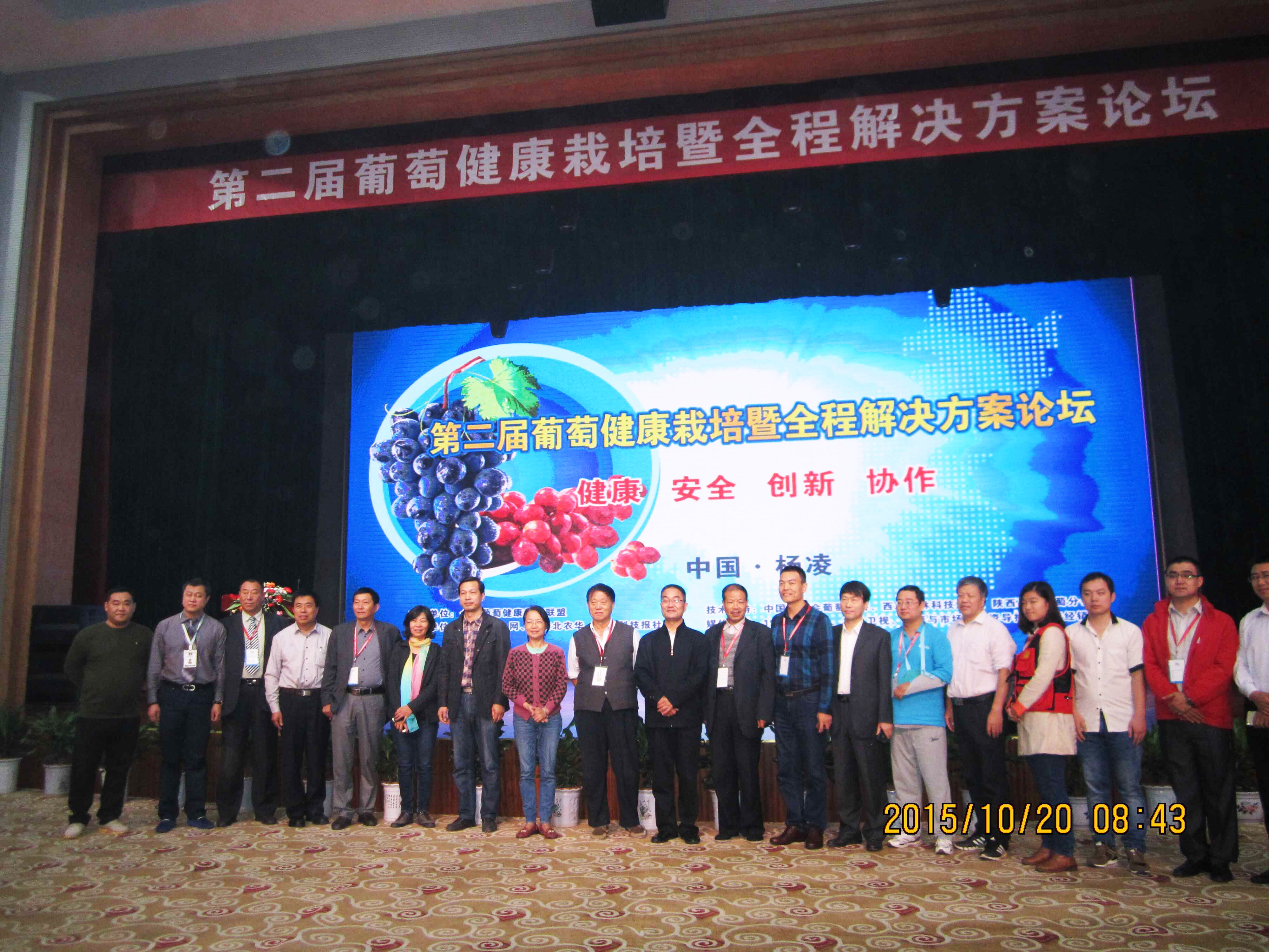 云顶4008集团手机登录