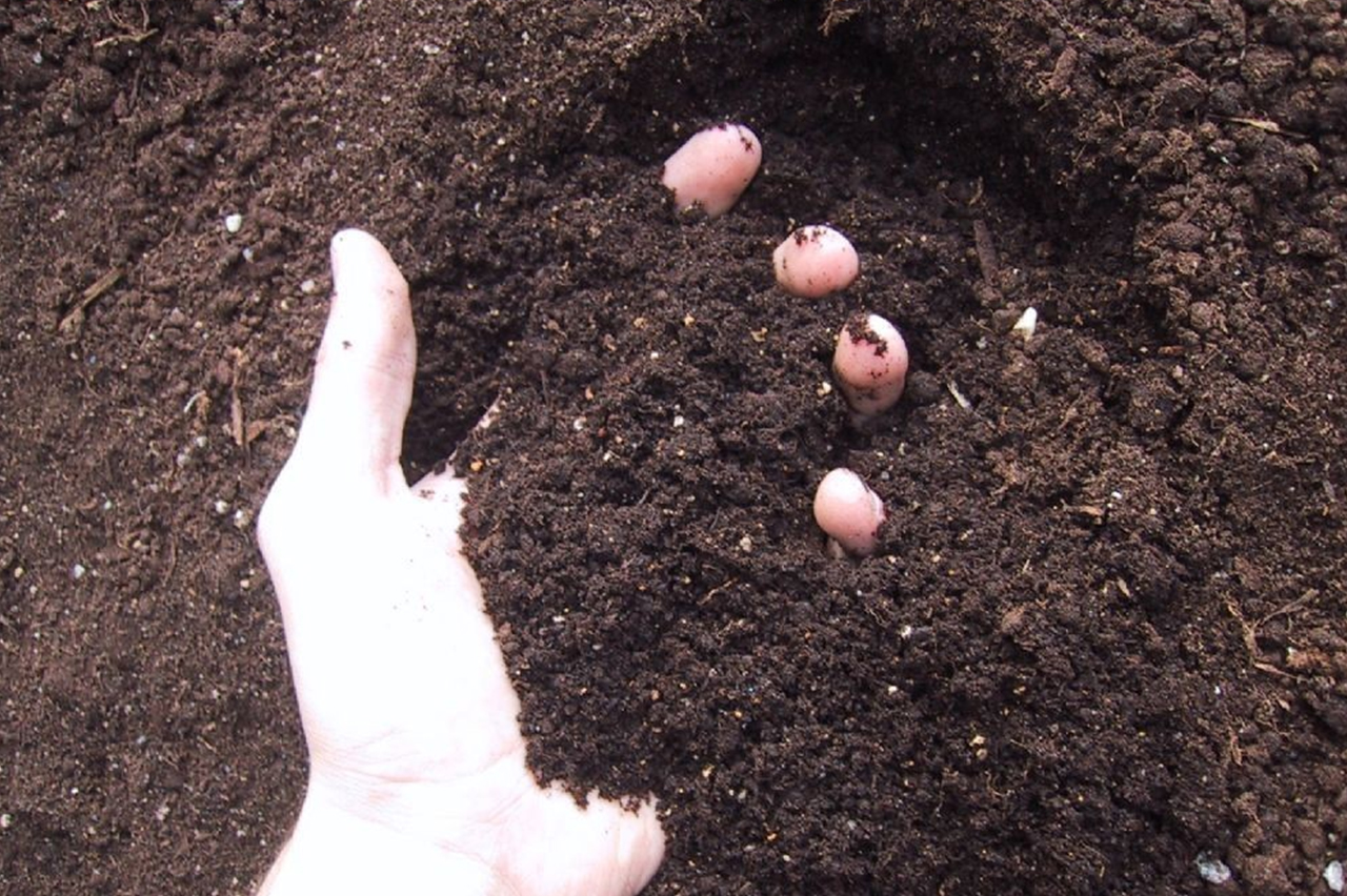 云顶4008集团手机登录