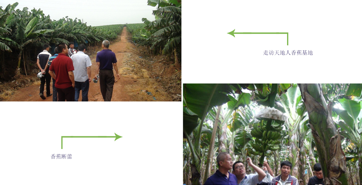 云顶4008集团手机登录