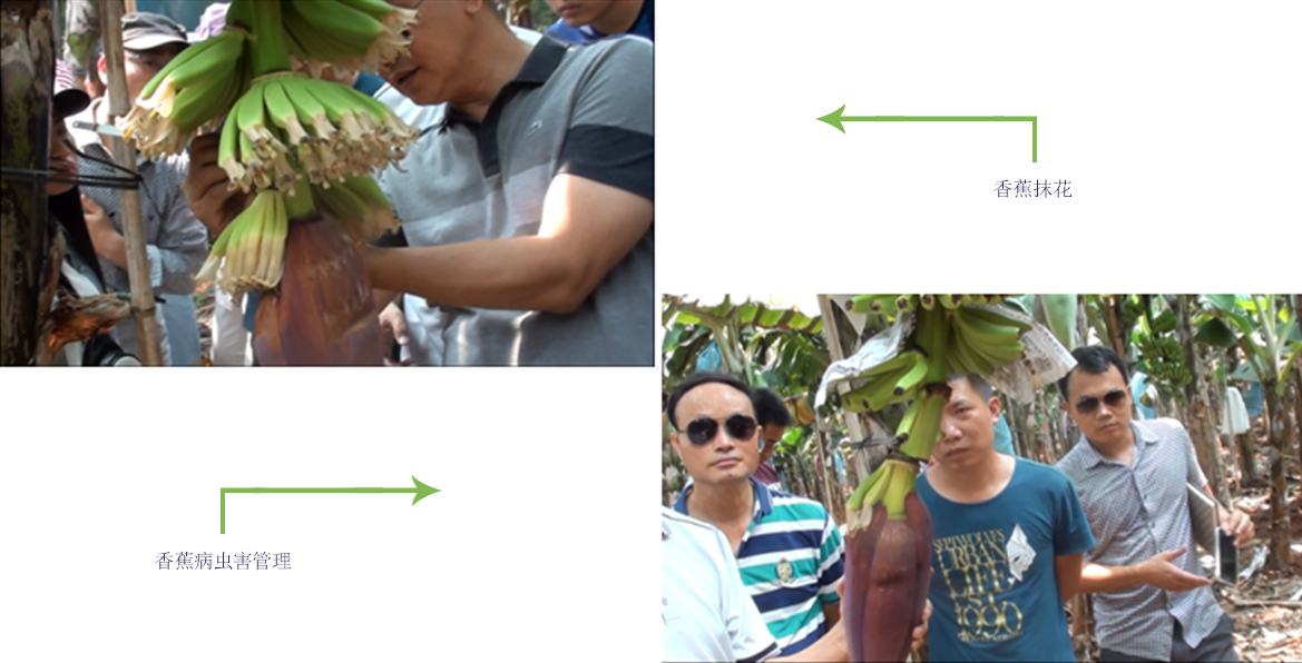 云顶4008集团手机登录