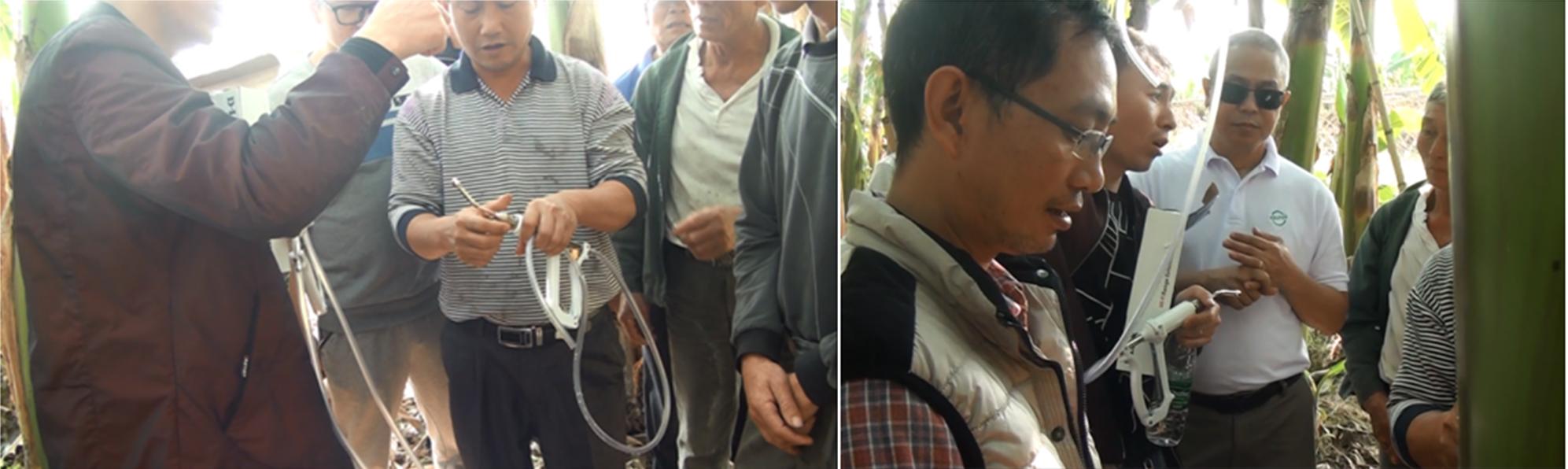 云顶4008集团手机登录