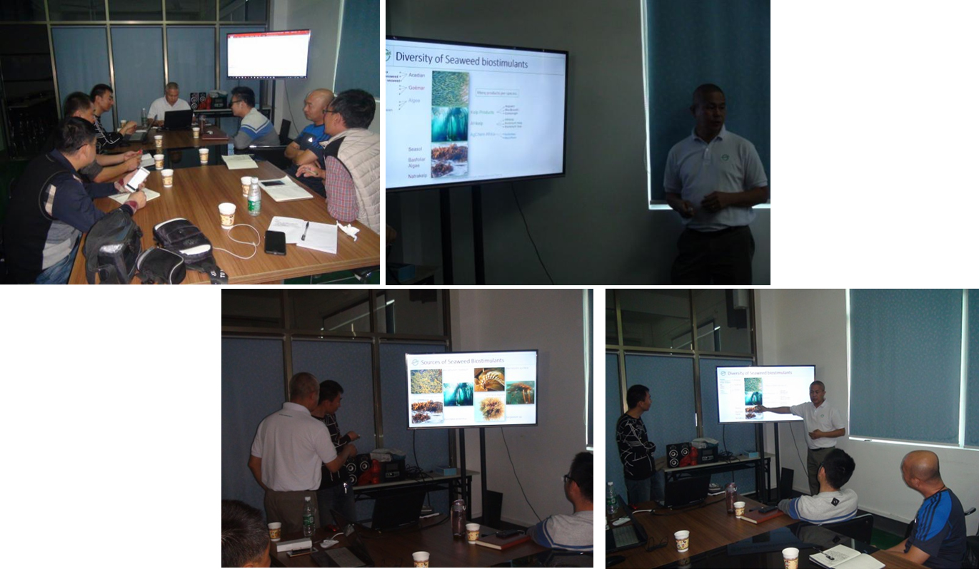 云顶4008集团手机登录