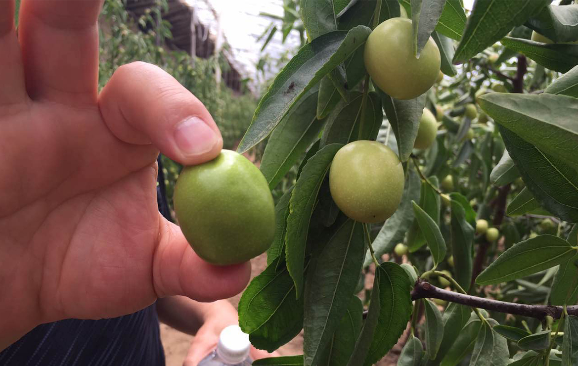 云顶4008集团手机登录