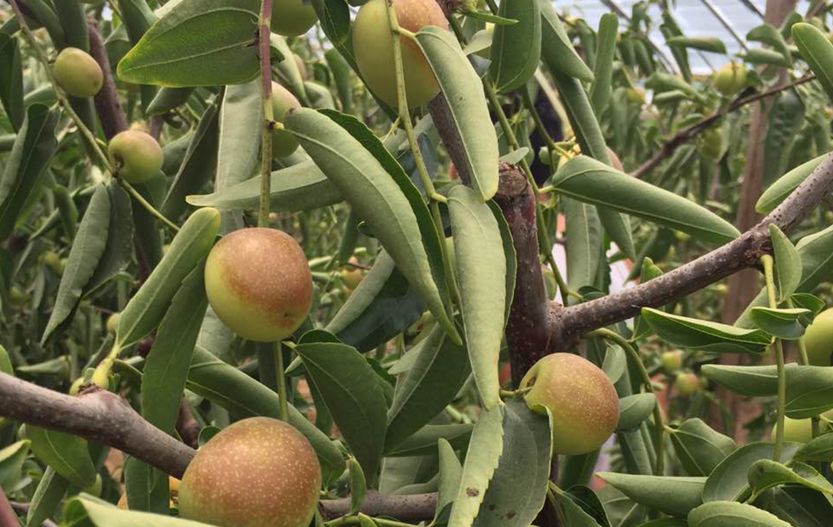 云顶4008集团手机登录