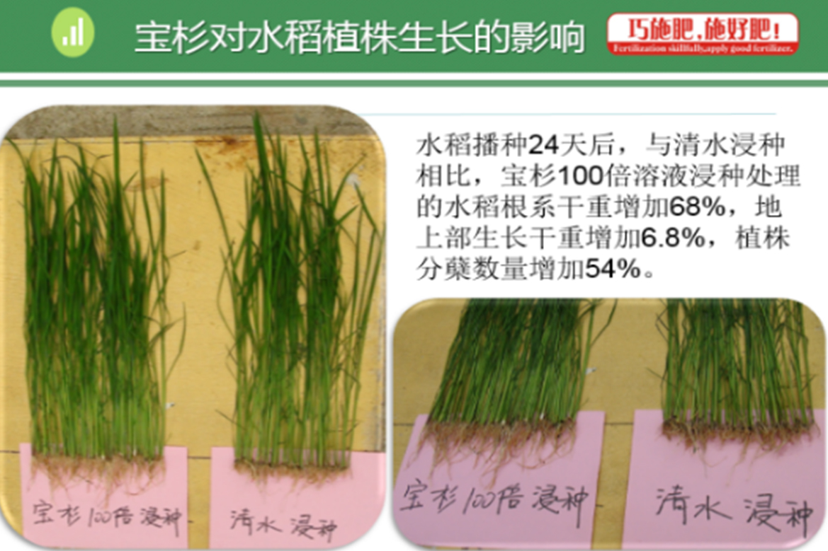 云顶4008集团手机登录