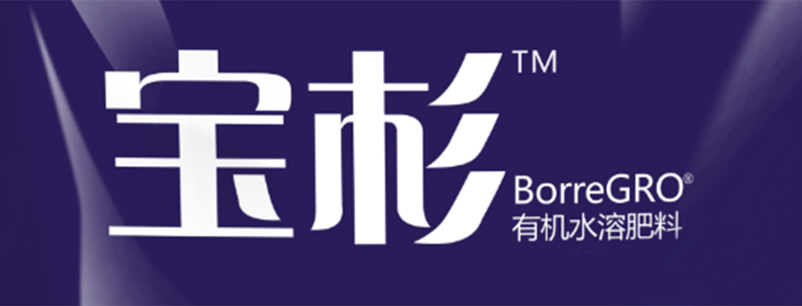 云顶4008集团手机登录