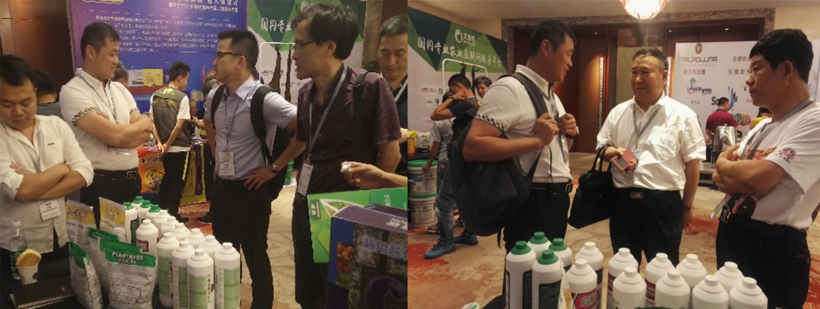 云顶4008集团手机登录