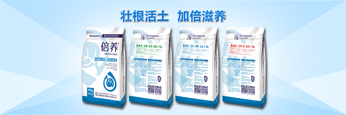 云顶4008集团手机登录