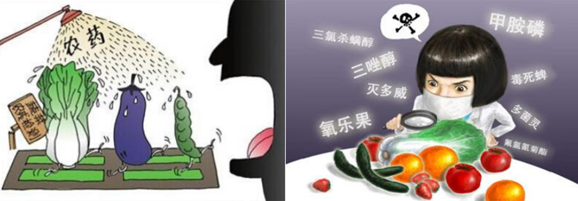 云顶4008集团手机登录