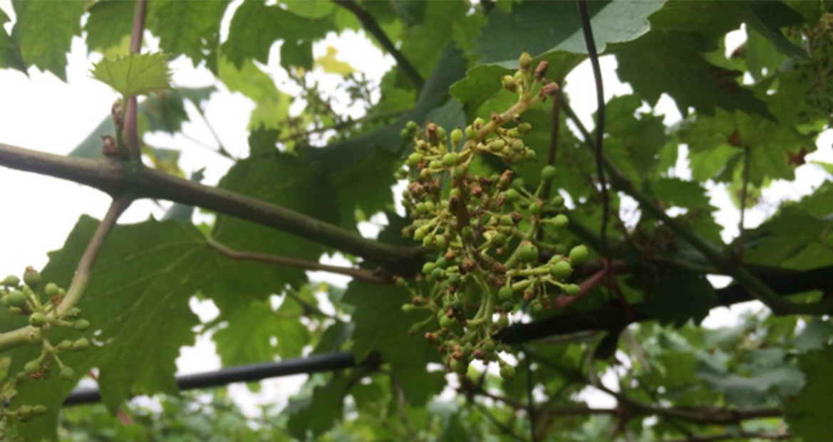 云顶4008集团手机登录