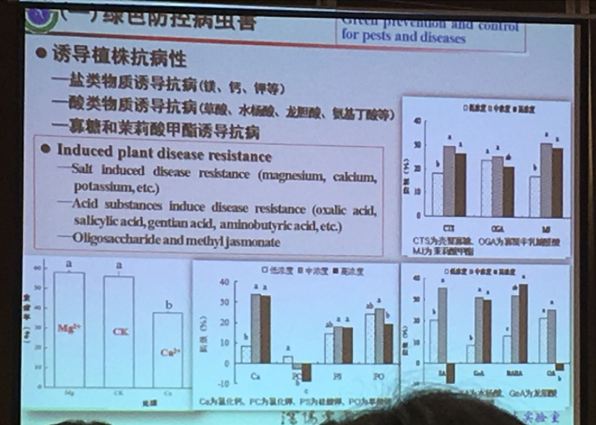 云顶4008集团手机登录