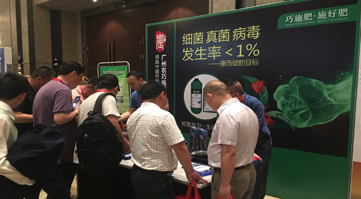 云顶4008集团手机登录