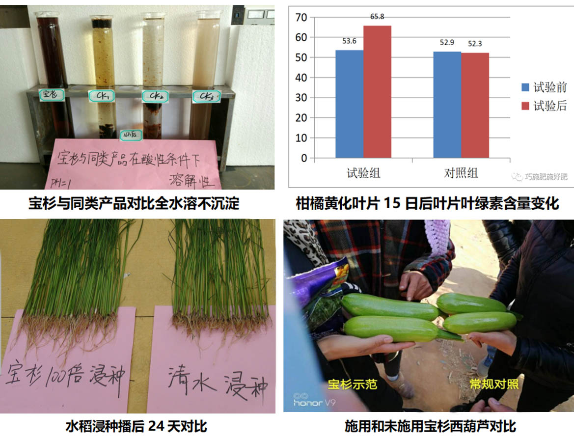 云顶4008集团手机登录