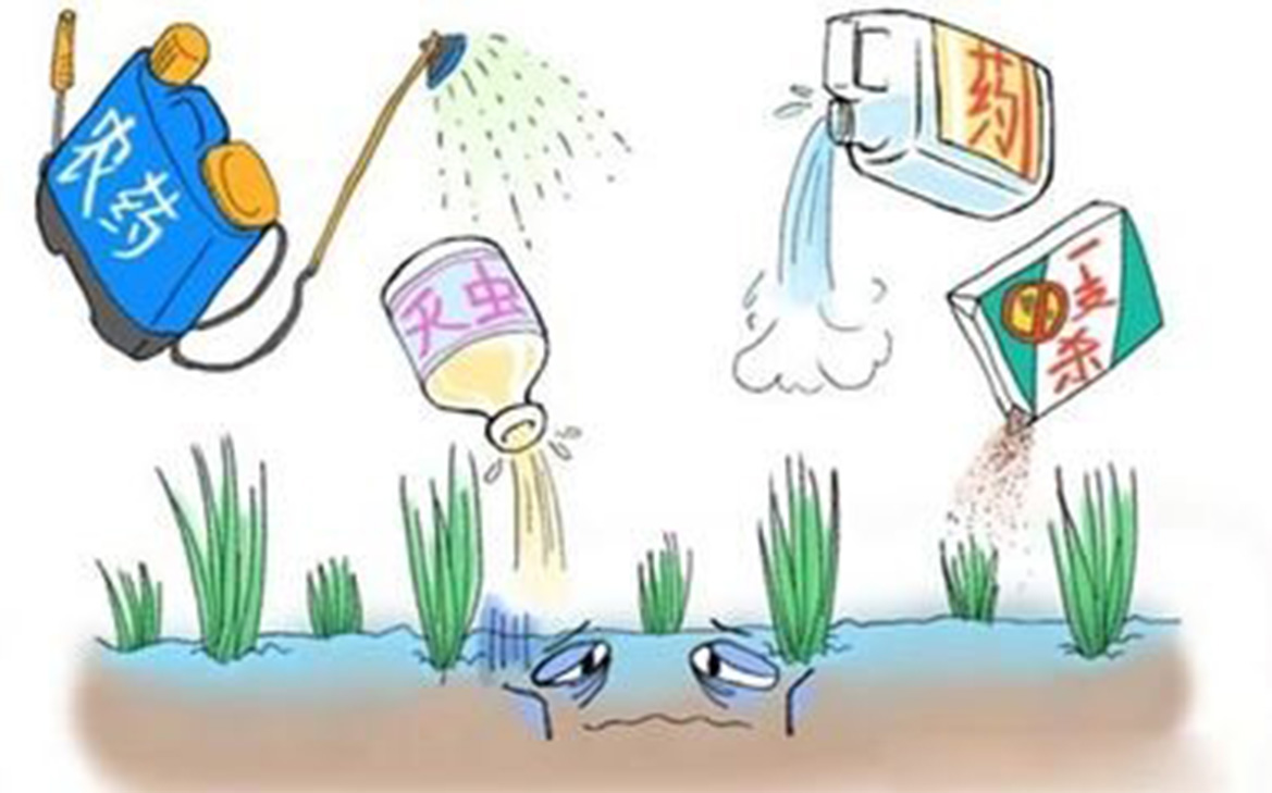 云顶4008集团手机登录