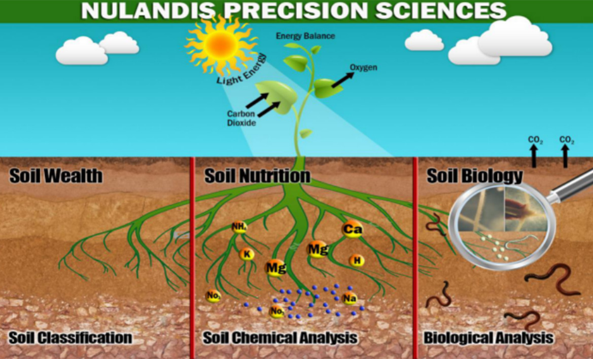 云顶4008集团手机登录